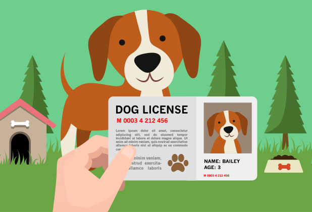 Dog license